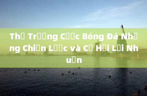 Thị Trường Cược Bóng Đá Những Chiến Lược và Cơ Hội Lợi Nhuận