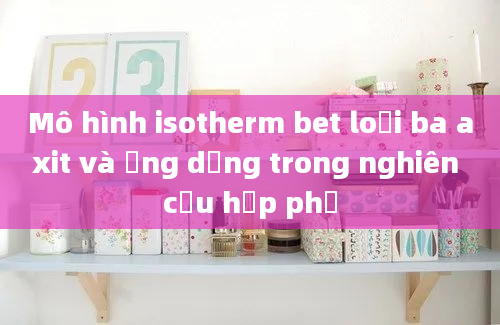 Mô hình isotherm bet loại ba axit và ứng dụng trong nghiên cứu hấp phụ