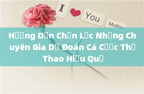 Hướng Dẫn Chọn Lọc Những Chuyên Gia Dự Đoán Cá Cược Thể Thao Hiệu Quả