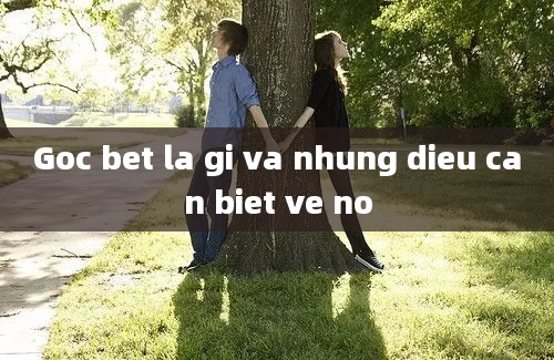 Goc bet la gi va nhung dieu can biet ve no