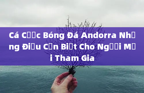 Cá Cược Bóng Đá Andorra Những Điều Cần Biết Cho Người Mới Tham Gia