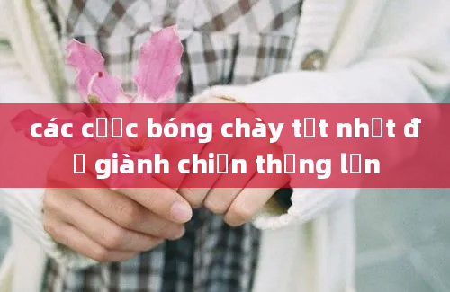 các cược bóng chày tốt nhất để giành chiến thắng lớn