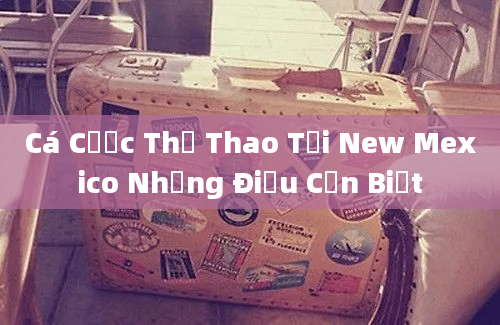 Cá Cược Thể Thao Tại New Mexico Những Điều Cần Biết