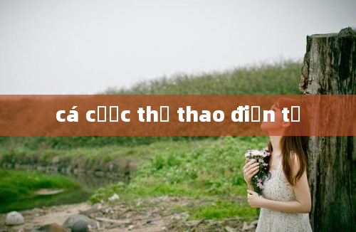 cá cược thể thao điện tử