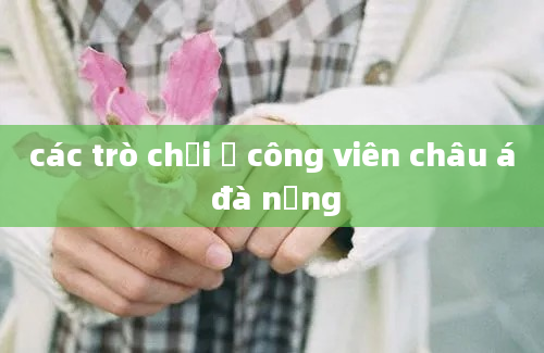 các trò chơi ở công viên châu á đà nẵng