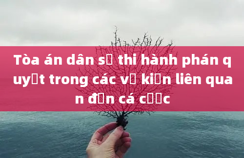 Tòa án dân sự thi hành phán quyết trong các vụ kiện liên quan đến cá cược