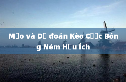 Mẹo và Dự đoán Kèo Cược Bóng Ném Hữu Ích