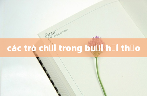 các trò chơi trong buổi hội thảo