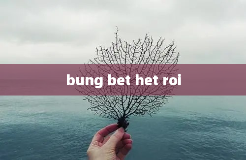 bung bet het roi