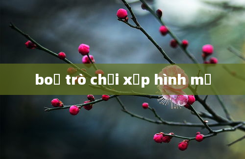 boộ trò chơi xếp hình mỹ