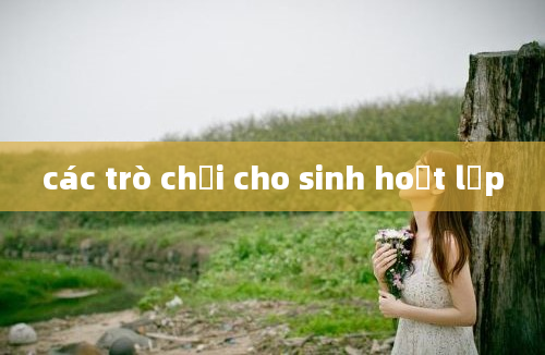 các trò chơi cho sinh hoạt lớp