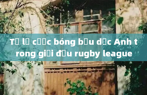 Tỷ lệ cược bóng bầu dục Anh trong giải đấu rugby league