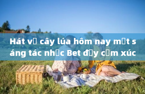 Hát về cây lúa hôm nay một sáng tác nhạc Bet đầy cảm xúc