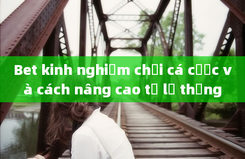 Bet kinh nghiệm chơi cá cược và cách nâng cao tỷ lệ thắng