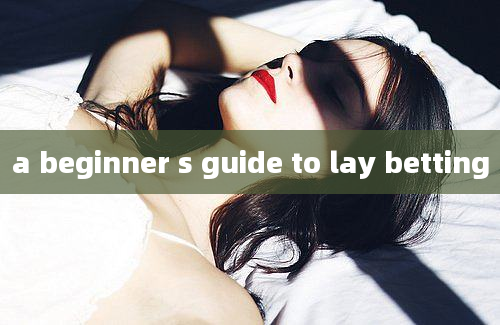 a beginner s guide to lay betting