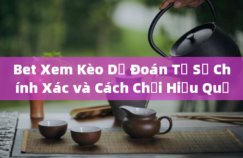 Bet Xem Kèo Dự Đoán Tỉ Số Chính Xác và Cách Chơi Hiệu Quả