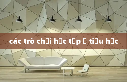 các trò chơi học tập ở tiểu học