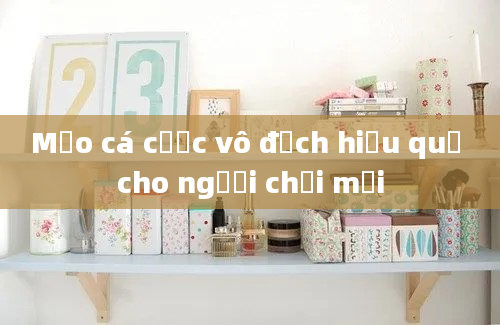 Mẹo cá cược vô địch hiệu quả cho người chơi mới