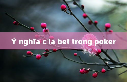 Ý nghĩa của bet trong poker