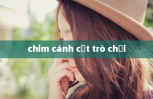 chim cánh cụt trò chơi