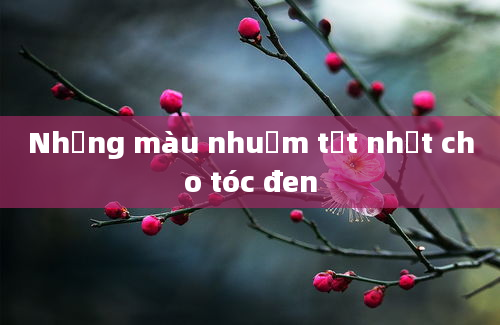 Những màu nhuộm tốt nhất cho tóc đen