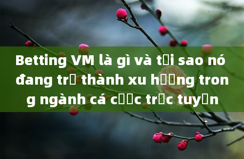 Betting VM là gì và tại sao nó đang trở thành xu hướng trong ngành cá cược trực tuyến