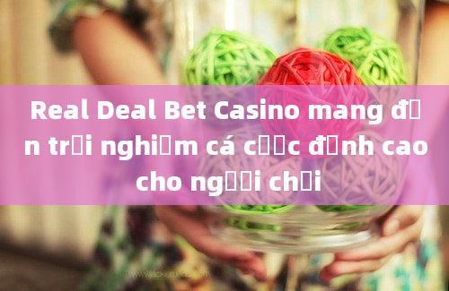 Real Deal Bet Casino mang đến trải nghiệm cá cược đỉnh cao cho người chơi