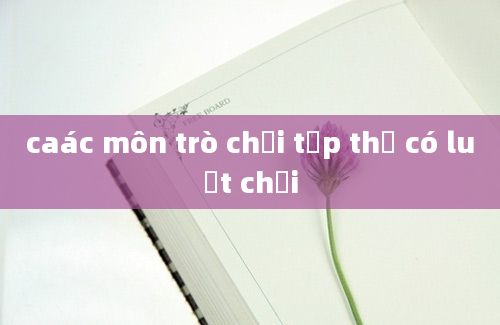 caác môn trò chơi tập thể có luật chơi