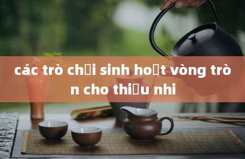 các trò chơi sinh hoạt vòng tròn cho thiếu nhi