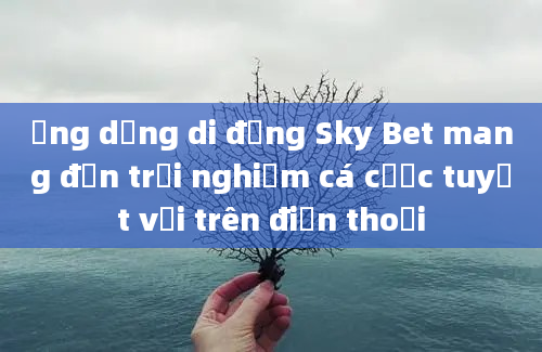 Ứng dụng di động Sky Bet mang đến trải nghiệm cá cược tuyệt vời trên điện thoại