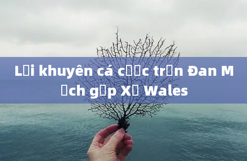 Lời khuyên cá cược trận Đan Mạch gặp Xứ Wales