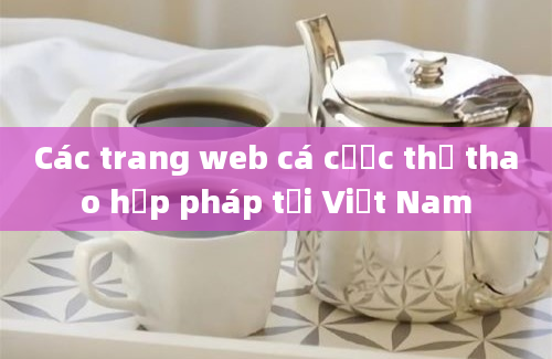 Các trang web cá cược thể thao hợp pháp tại Việt Nam