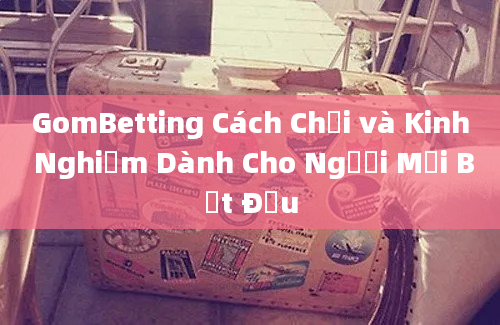 GomBetting Cách Chơi và Kinh Nghiệm Dành Cho Người Mới Bắt Đầu