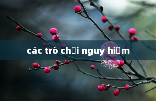 các trò chơi nguy hiểm