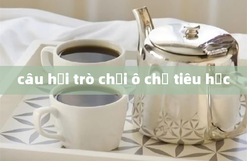 câu hỏi trò chơi ô chữ tiêu học