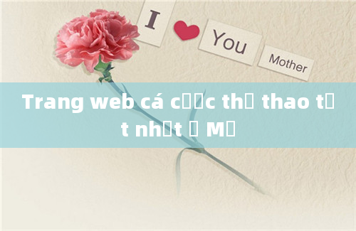 Trang web cá cược thể thao tốt nhất ở Mỹ