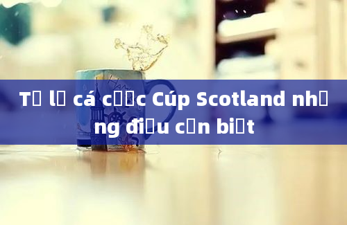 Tỷ lệ cá cược Cúp Scotland những điều cần biết