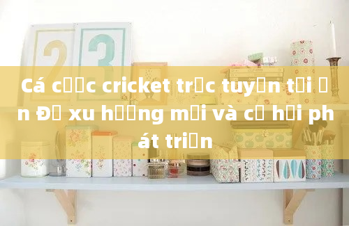 Cá cược cricket trực tuyến tại Ấn Độ xu hướng mới và cơ hội phát triển