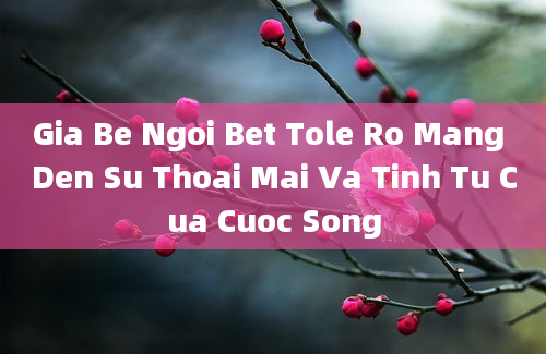 Gia Be Ngoi Bet Tole Ro Mang Den Su Thoai Mai Va Tinh Tu Cua Cuoc Song