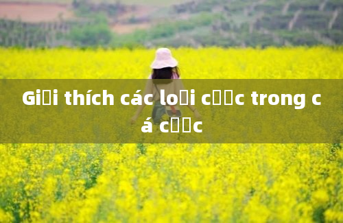 Giải thích các loại cược trong cá cược