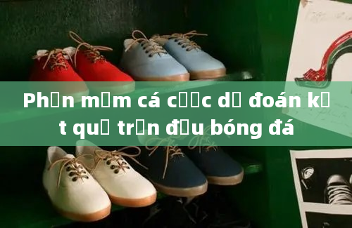 Phần mềm cá cược dự đoán kết quả trận đấu bóng đá