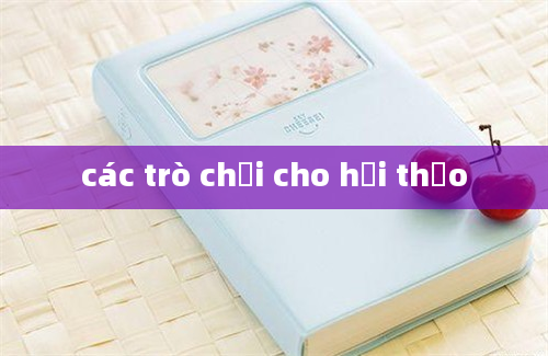 các trò chơi cho hội thảo