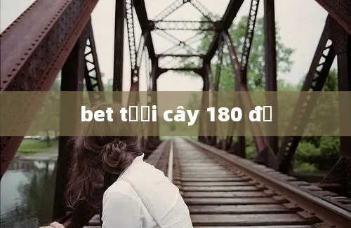 bet tưới cây 180 độ