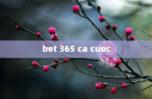 bet 365 ca cuoc