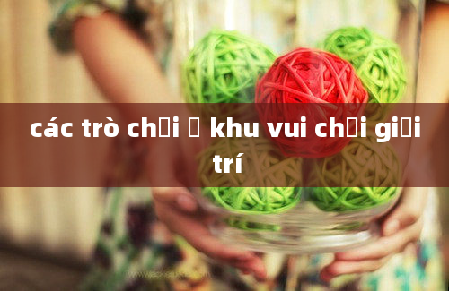 các trò chơi ở khu vui chơi giải trí