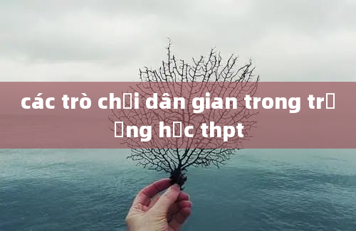 các trò chơi dân gian trong trường học thpt