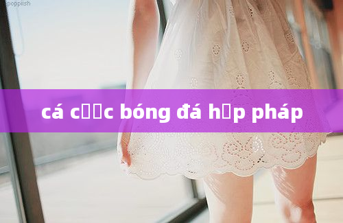 cá cược bóng đá hợp pháp