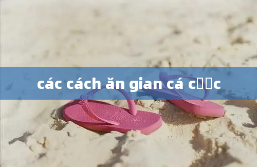 các cách ăn gian cá cược