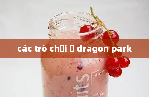 các trò chơi ở dragon park