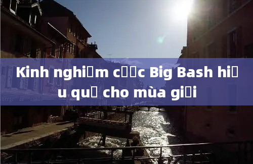 Kinh nghiệm cược Big Bash hiệu quả cho mùa giải